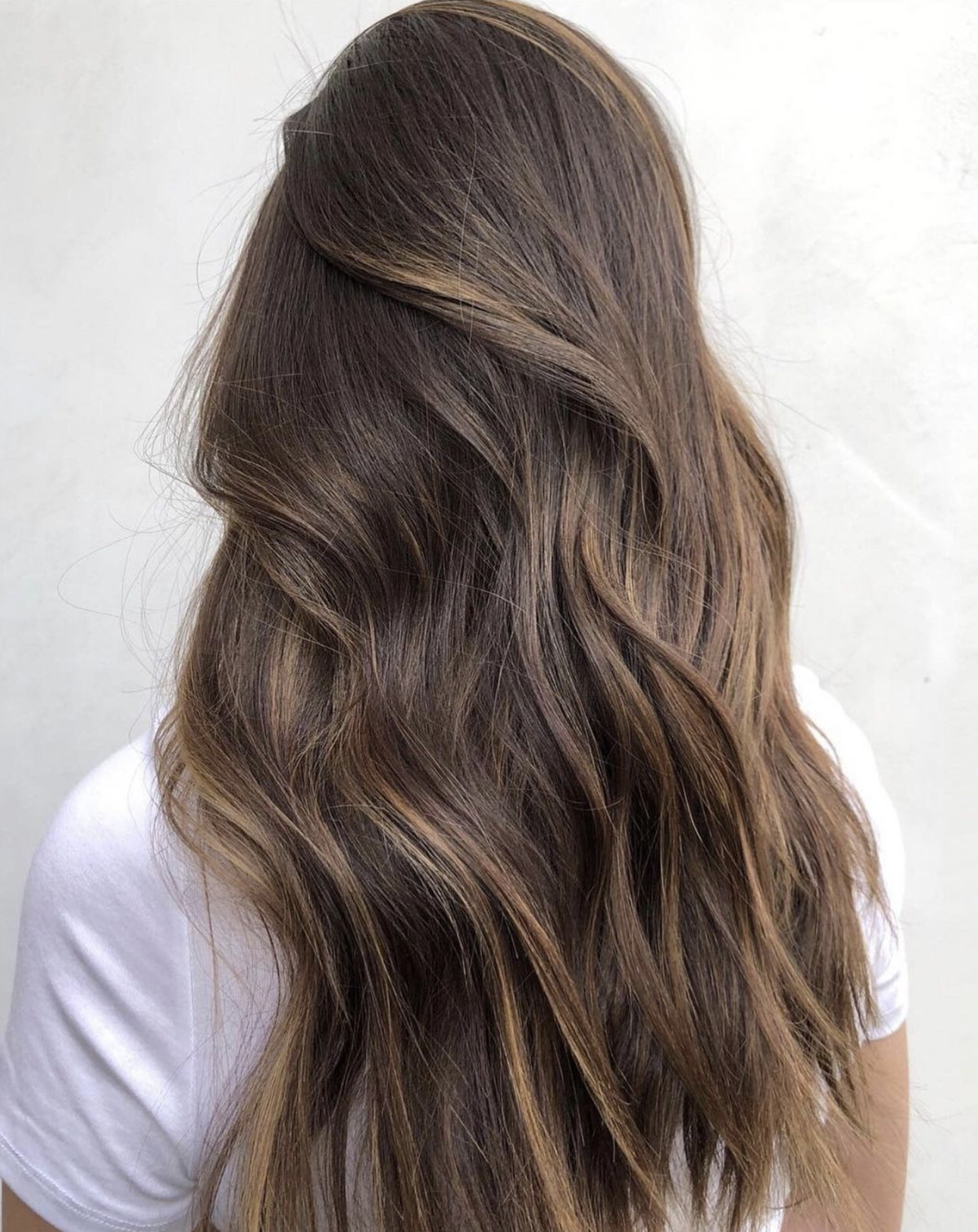 arnhem kapper